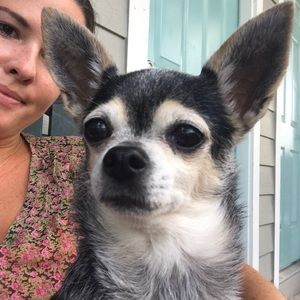 Meet your Posher, Chanel